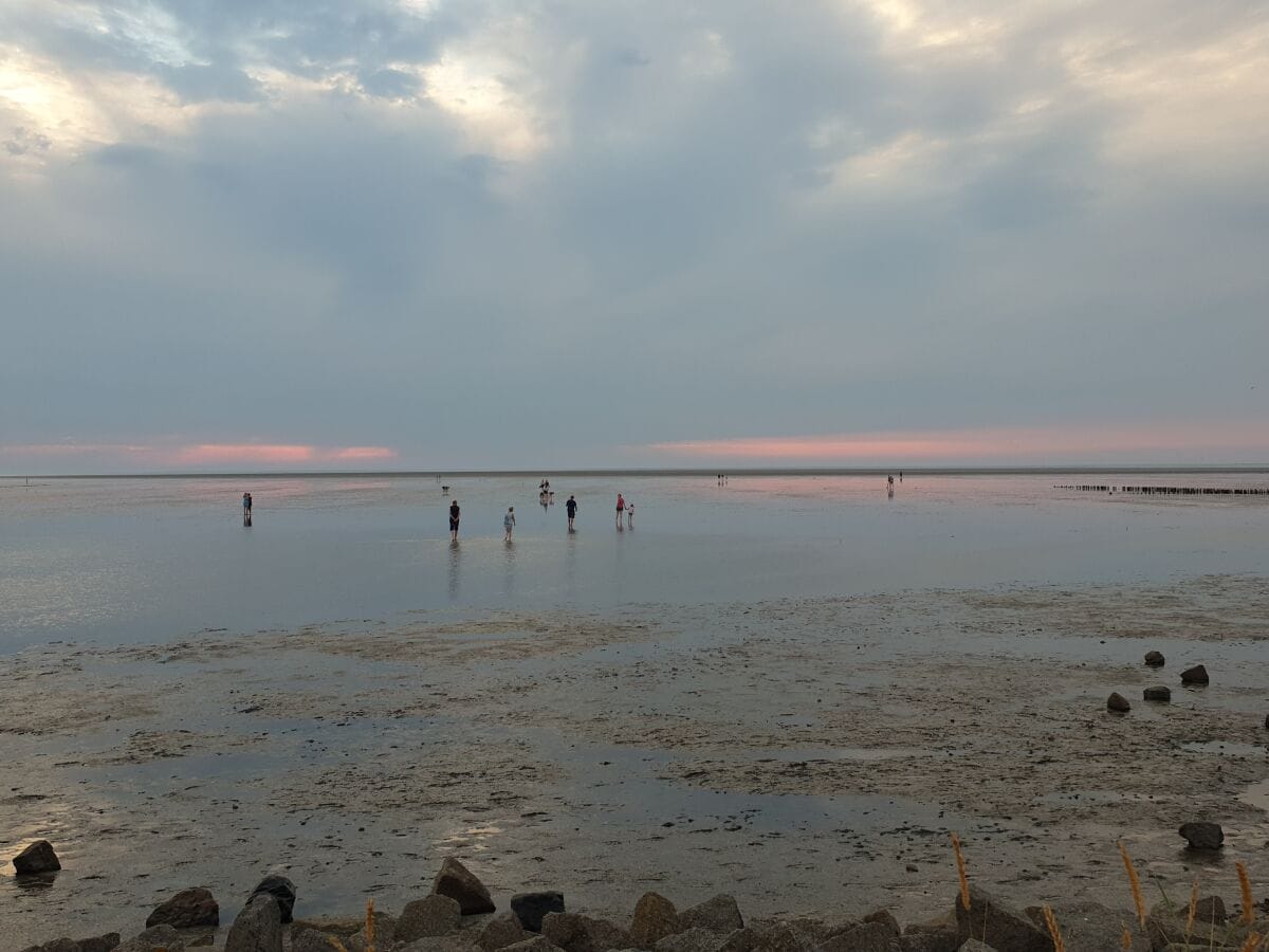 Das Watt bei Ebbe