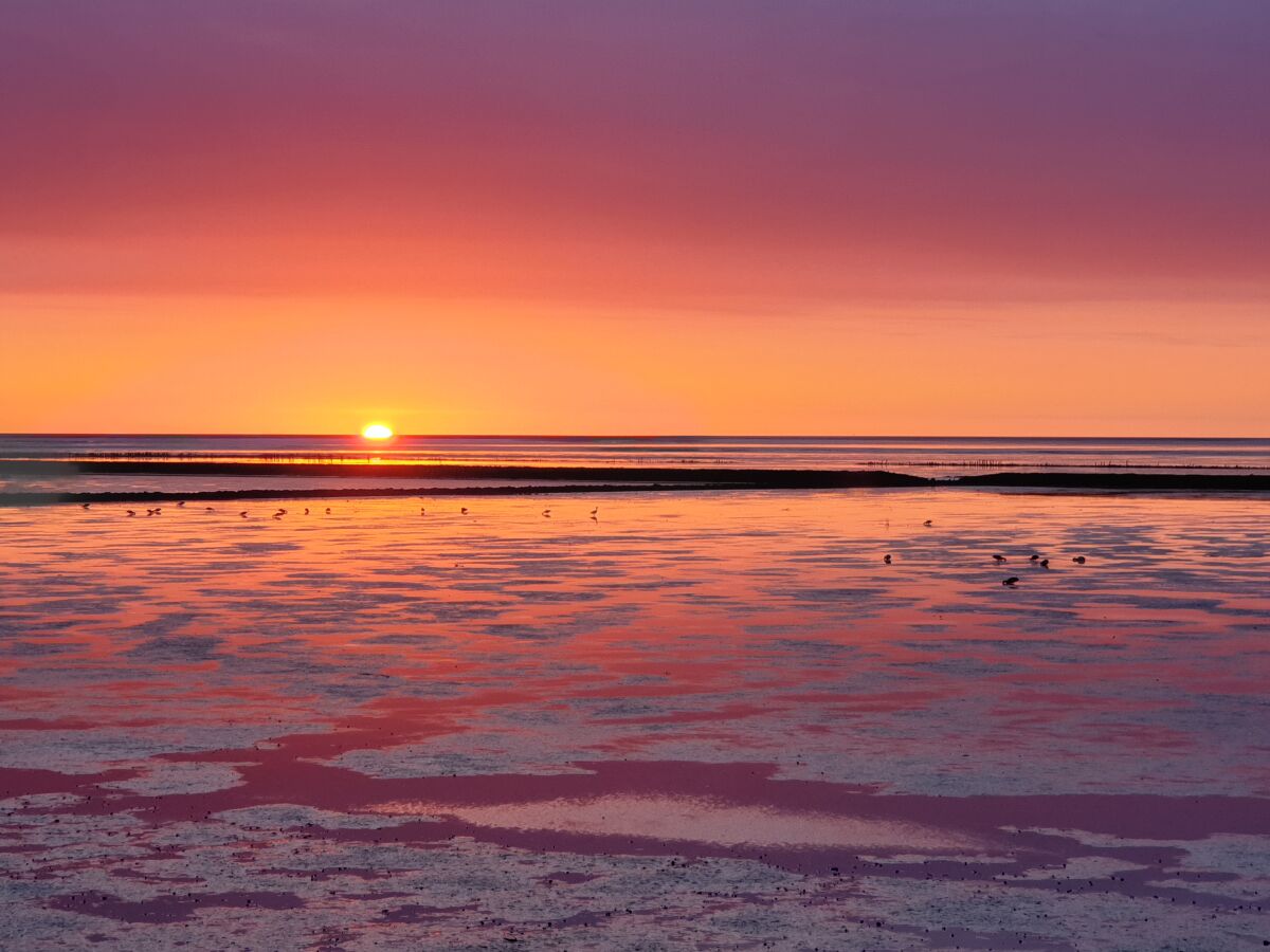 Sonnenuntergang im Watt